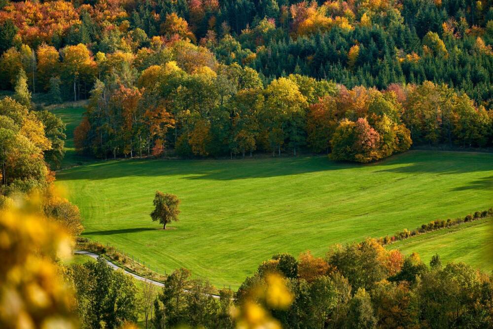 Paysage Automne - Rives du Morvan Tourisme
