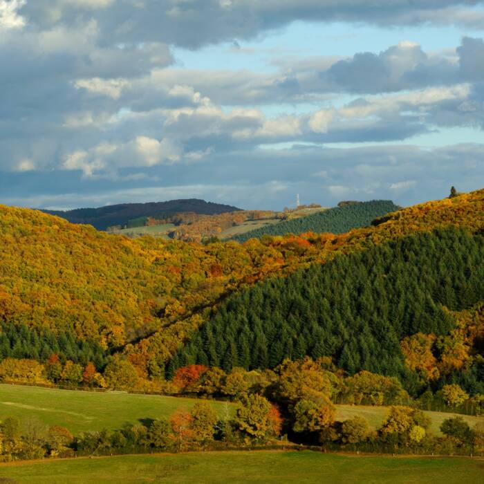 Vue panoramique des monts du Morvan en automne
