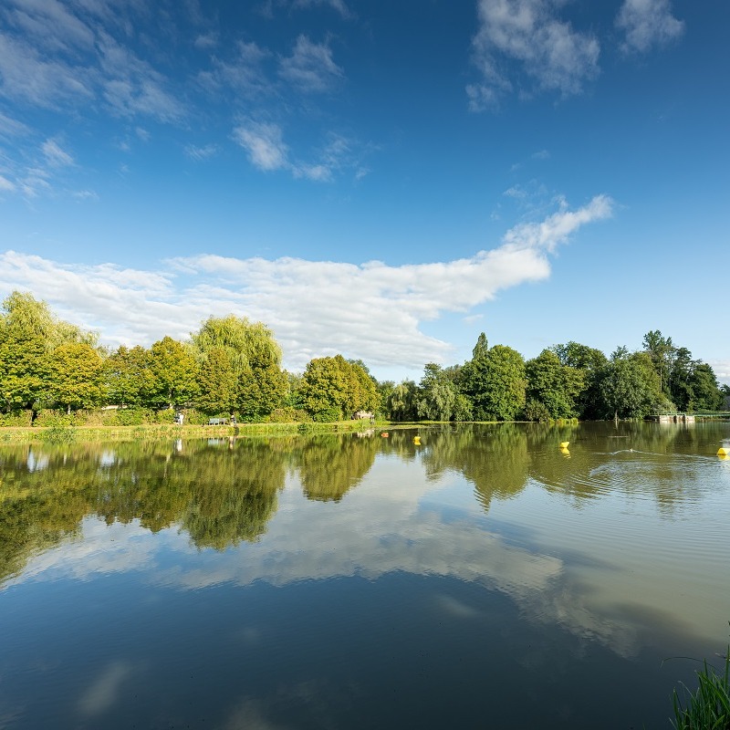 347269833 576750224570798 540909879996075975 n - Rives du Morvan Tourisme