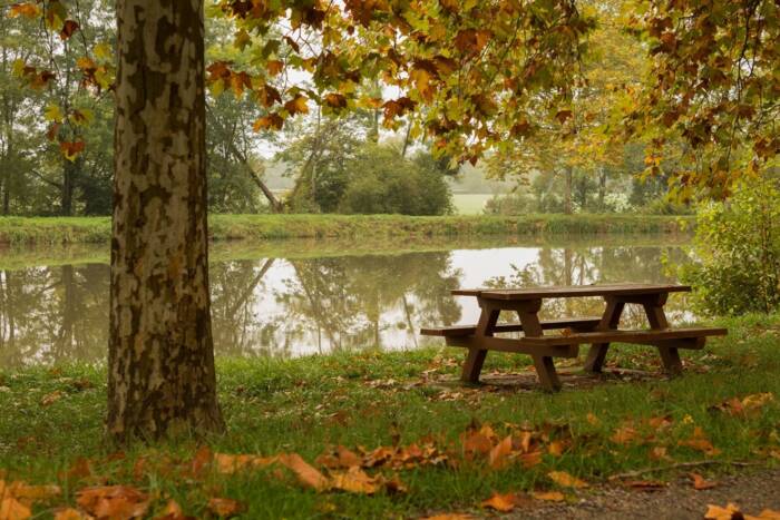 Vue d'un banc sous un arbre à l'automne, au bord du Canal du Nivernais