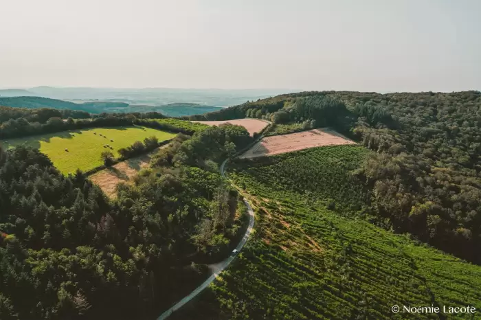 Vue de Saint Honore les Bains - Rives du Morvan Tourisme