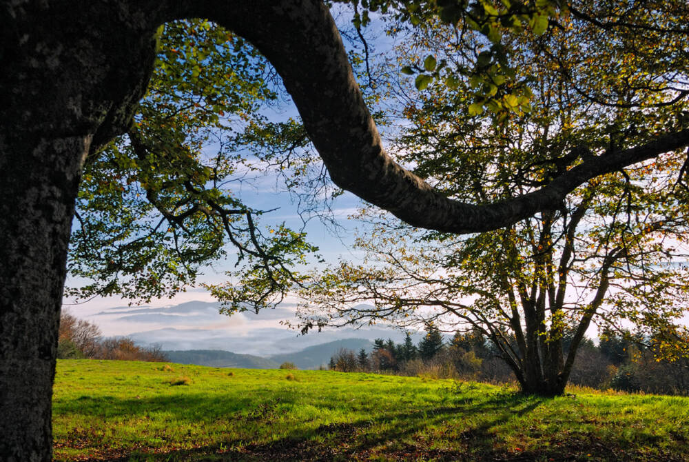 photo7©YvesNivot - Rives du Morvan Tourisme