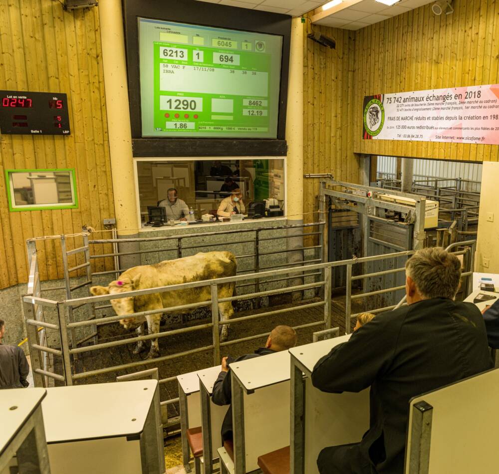 Vente électronique au Marché au Cadran