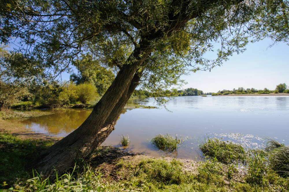 Loire YvesNivot - Rives du Morvan Tourisme