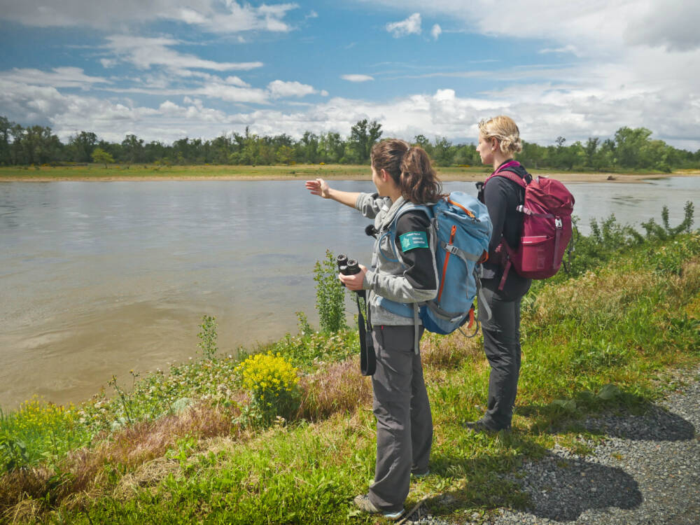 Thareau Carnets de Rando David Genestal - Rives du Morvan Tourisme