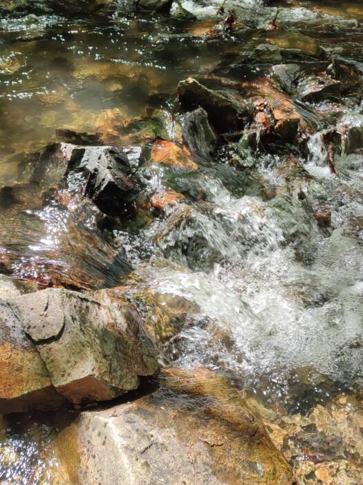 Eaux vives à la cascade de la Dragne