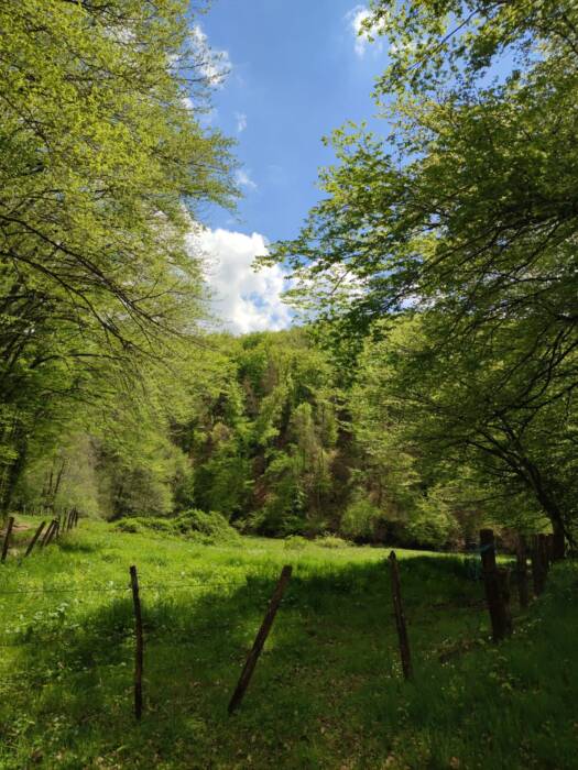 Prairie et tourbière de la vallée de la Dragne