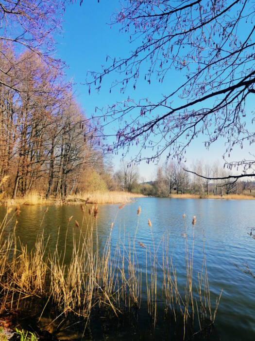 Rivages de la Loire sous la lumière automnale