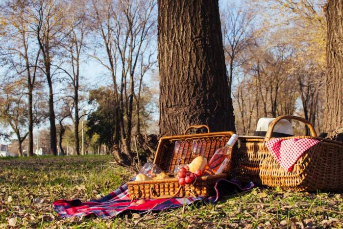 vue d'un panier pique-nique sous un arbre à l'automne