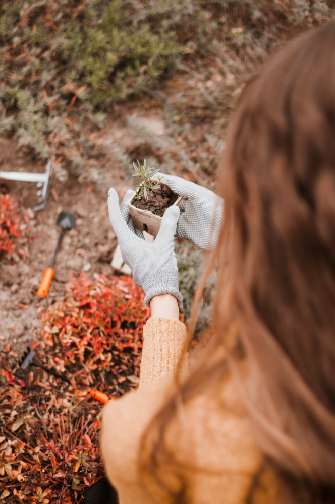 une jeune femme tenant un petit plan de culture à planter