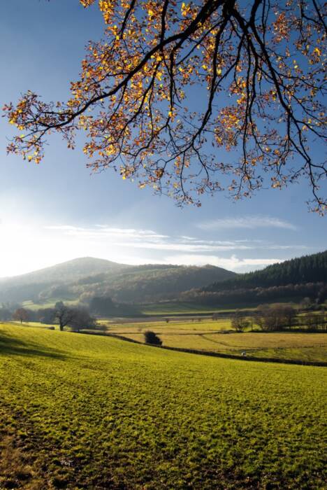 Paysage automnale des Monts du Morvan