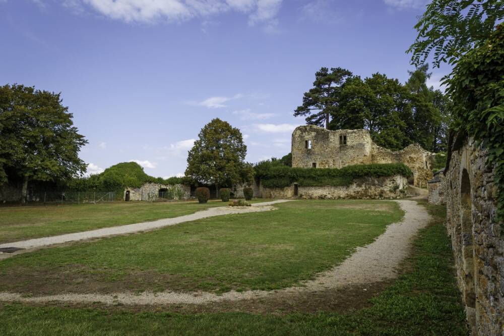 vue extérieure des ruines du vieux château de Moulins-Engilbert à l'automne