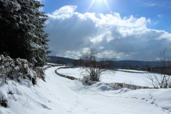 © Sylvia Dentzer 20 © Sylvia Dentzer 20 - Rives du Morvan Tourisme